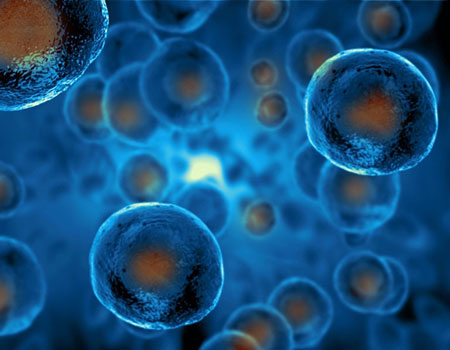Τα «αρχέγονα κύτταρα» στην Ορθοπαιδική